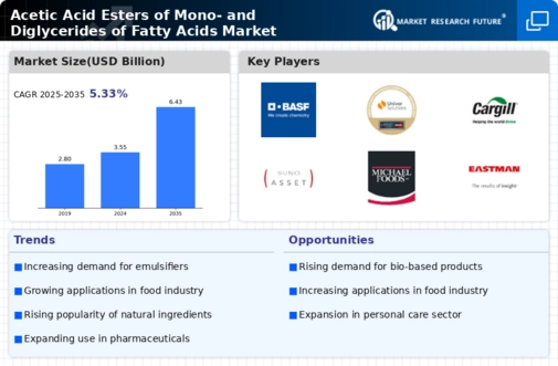 Acetic Acid Esters of Mono- and Diglycerides of Fatty Acids Market Infographic