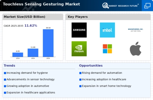 Touchless Sensing Gesturing Market Infographic