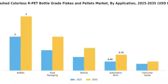 Hot Washed Colorless R-PET Bottle Grade Flakes and Pellets Market  Segment Image 0