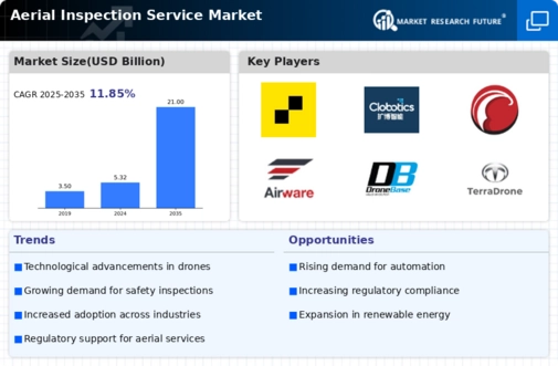 Aerial Inspection Service Market Infographic