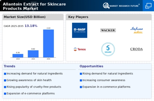 Allantoin Extract for Skincare Products Market Infographic