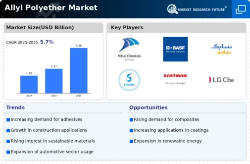 Allyl Polyether Market Infographic