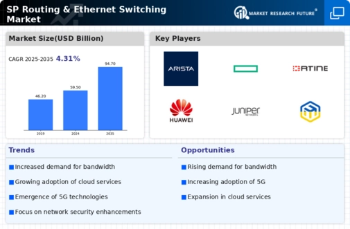 Sp Routing & Ethernet Switching Market Infographic