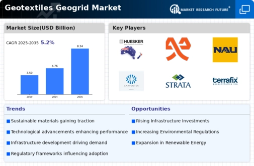 Geotextiles Geogrid Market
 Infographic