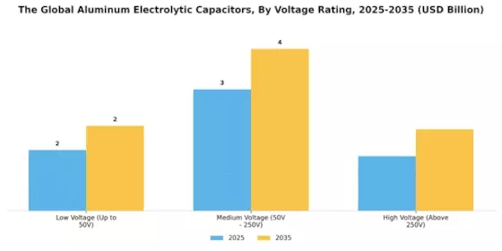 Aluminum Electrolytic Capacitor Market Segment Image 1