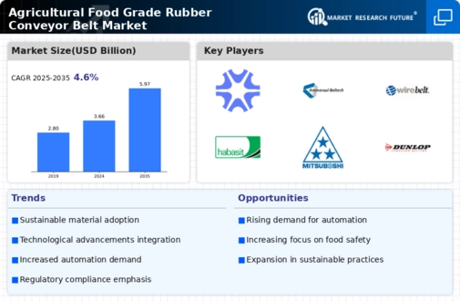 Agricultural Food Grade Rubber Conveyor Belt Market Infographic