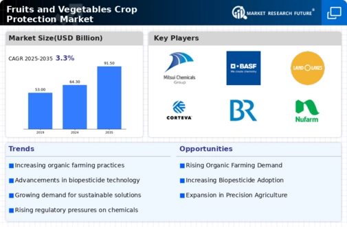 Fruits Vegetables Crop Protection Market Infographic