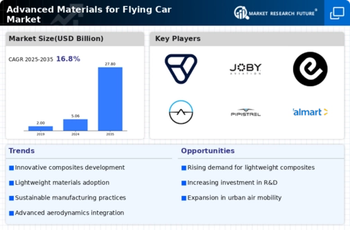 Advanced Materials for Flying Car Market Infographic