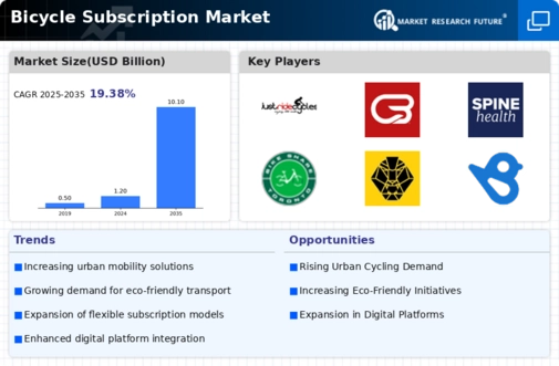 Bicycle Subscription Market Infographic