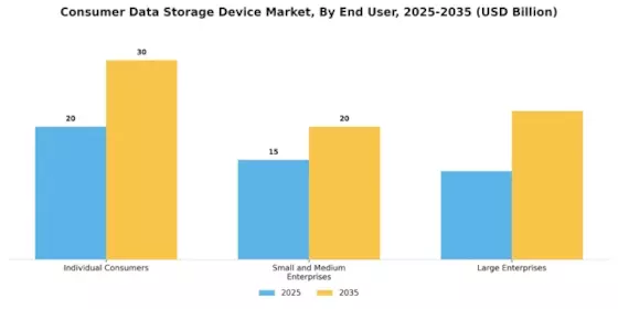 Consumer Data Storage Device Market Segment Image 3