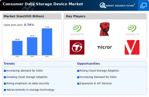 Consumer Data Storage Device Market Infographic