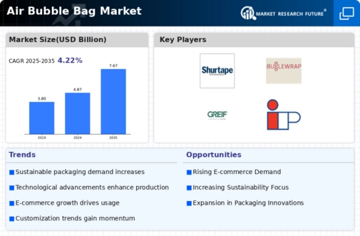 Air Bubble Bag Market Infographic