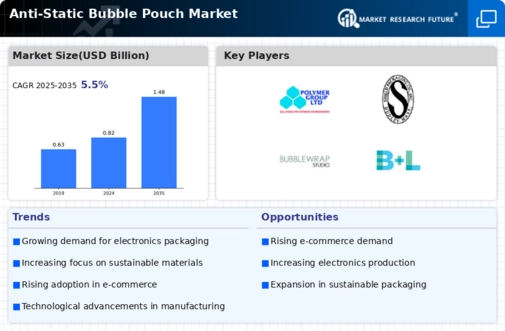 Anti Static Bubble Pouch Market
 Infographic