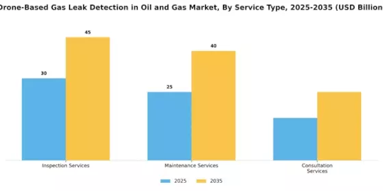 Drone Based Gas Leak Detection in Oil Gas Market Segment Image 2