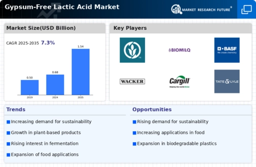 Gypsum Free Lactic Acid Market Infographic