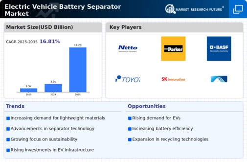 Electric Vehicle Battery Separator Market Infographic