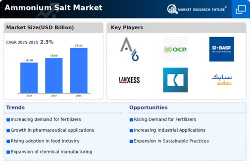 Ammonium Salt Market Infographic
