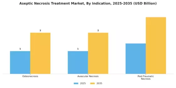Aseptic Necrosis Treatment Market Segment Image 3
