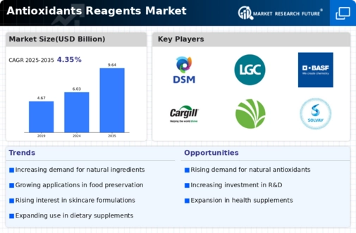 Antioxidants Reagent Market Infographic