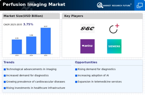 Perfusion Imaging Market Infographic