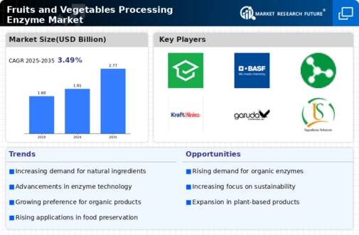 Fruits and Vegetables Processing Enzyme Market Infographic