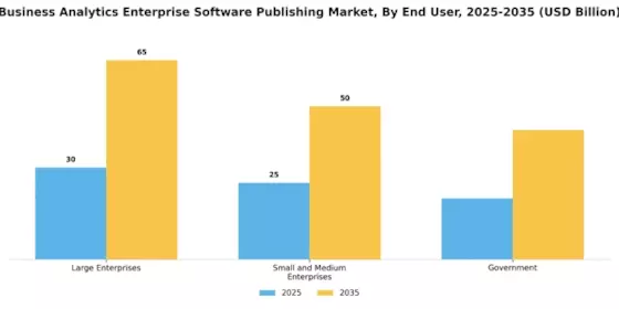 Business Analytics Enterprise Software Publishing Market Segment Image 1