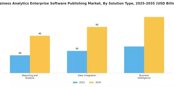 Business Analytics Enterprise Software Publishing Market Segment Image 2