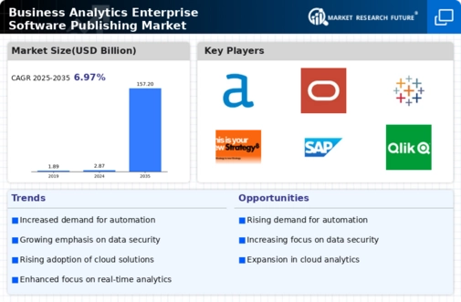 Business Analytics Enterprise Software Publishing Market Infographic