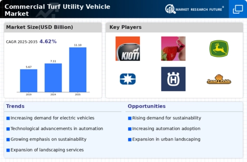 Commercial Turf Utility Vehicle Market Infographic