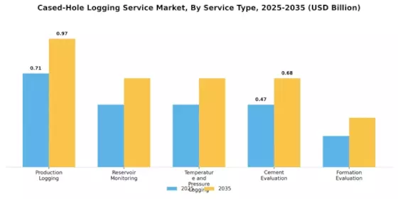 Cased Hole Logging Service Market Segment Image 0