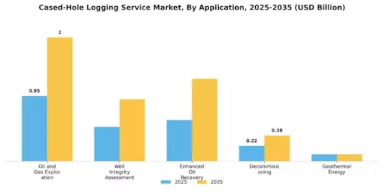 Cased Hole Logging Service Market Segment Image 1