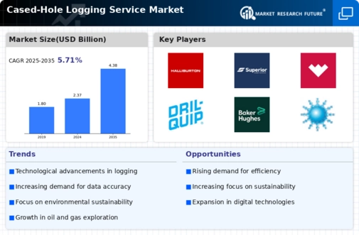 Cased Hole Logging Service Market Infographic