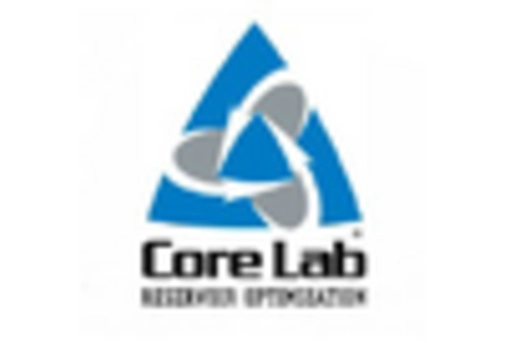 Cased Hole Logging Service Market key player