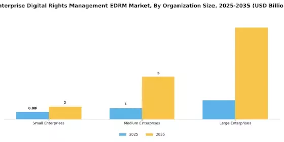Enterprise Digital Rights Management EDRM Market Segment Image 2