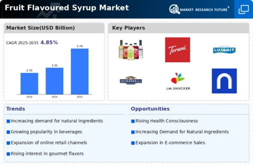Fruit Flavoured Syrup Market Infographic