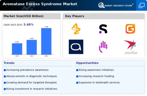 Aromatase Excess Syndrome Market Infographic