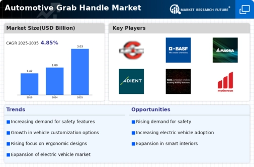 Automotive Grab Handle Market Infographic