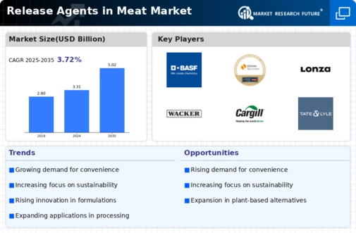 Release Agents in Meat Market Infographic