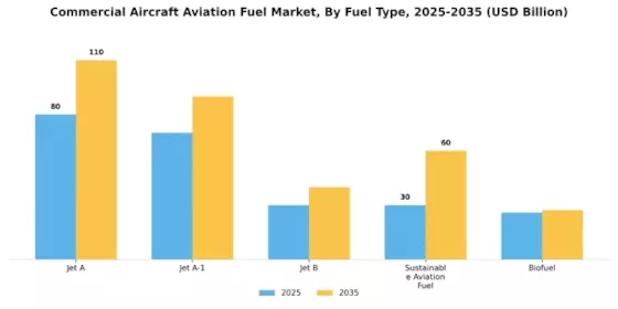 Commercial Aircraft Aviation Fuel Market Segment Image 0