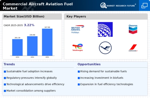 Commercial Aircraft Aviation Fuel Market Infographic