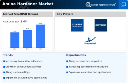 Amine Hardener Market Infographic