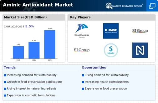 Aminic Antioxidant Market Infographic
