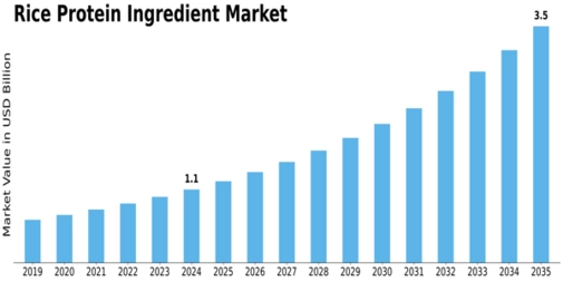 Rice Protein Ingredient Market Size