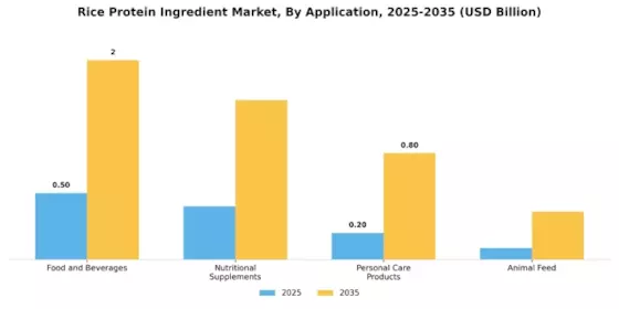 Rice Protein Ingredient Market Segment Image 0