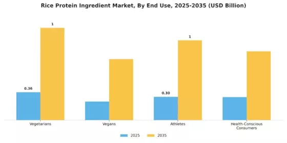Rice Protein Ingredient Market Segment Image 3