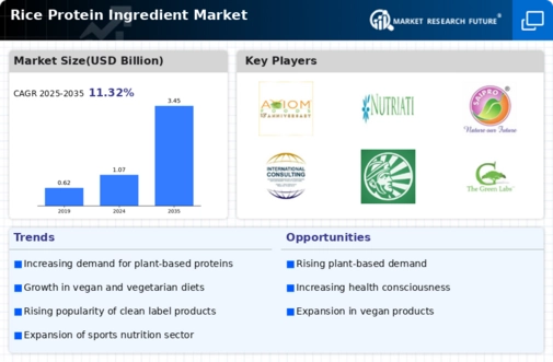 Rice Protein Ingredient Market Infographic