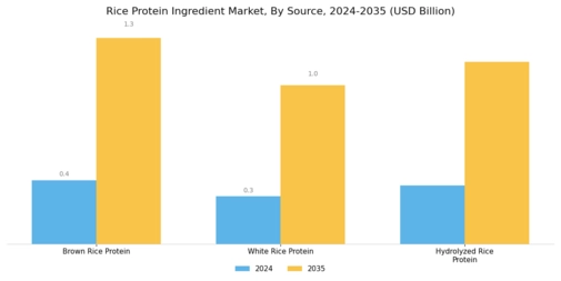 Rice Protein Ingredient Market Segment Image 1