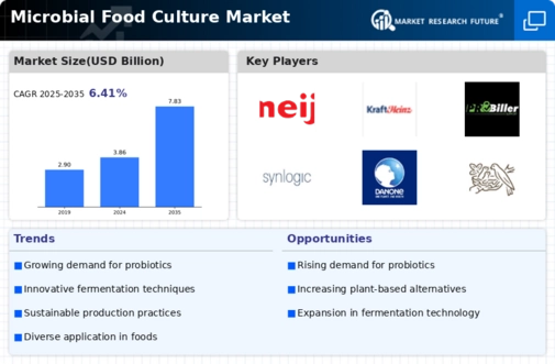 Microbial Food Culture Market Infographic