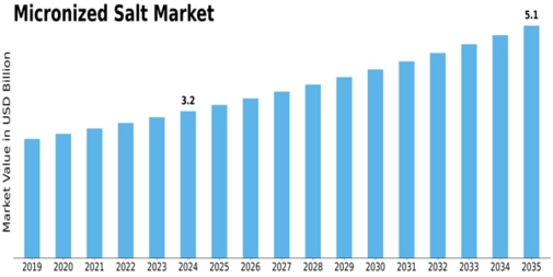 Micronized Salt Market Size