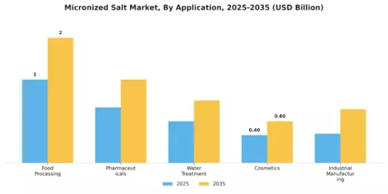 Micronized Salt Market Segment Image 0